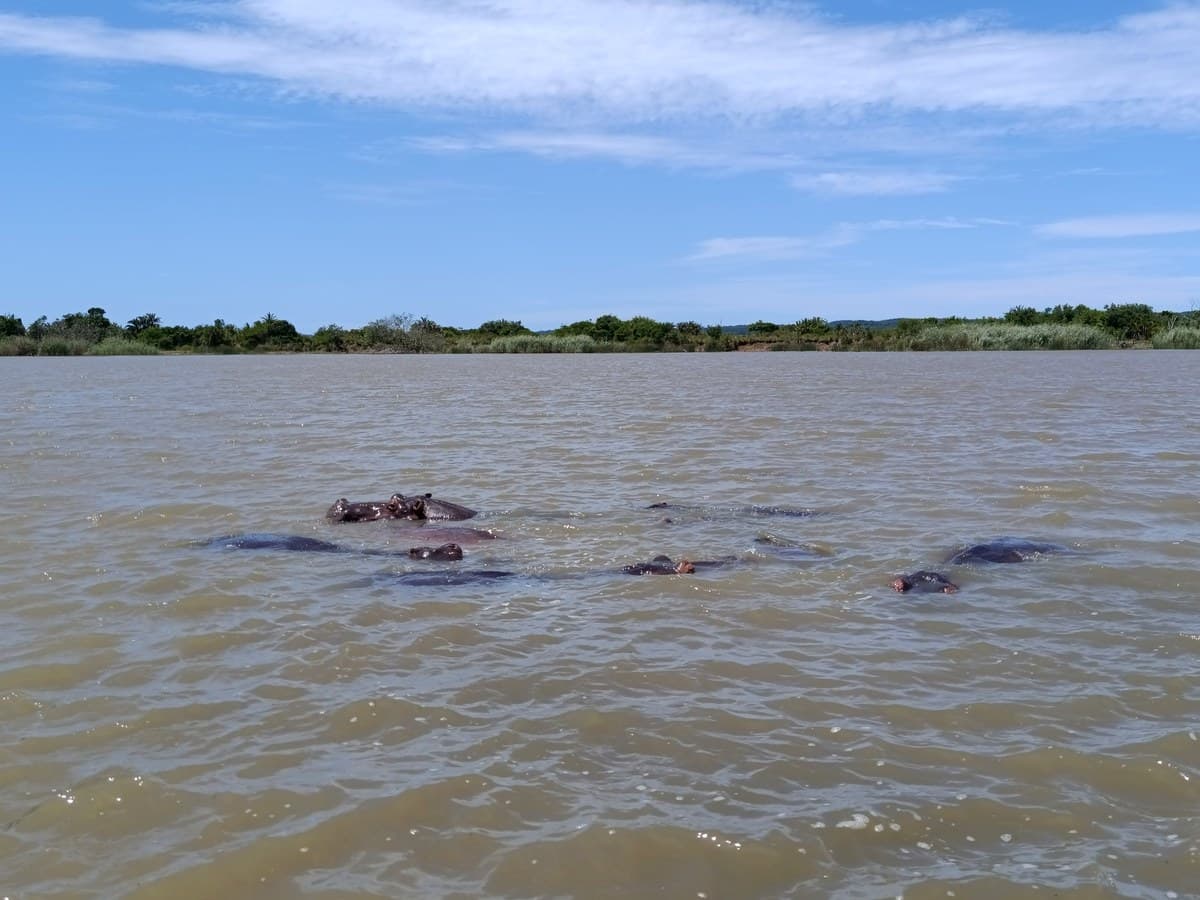 Lake St Lucia by day